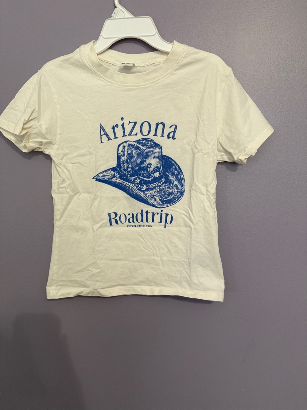 Zara Cream Tee with Blue Arizona Roadtrip Graphic